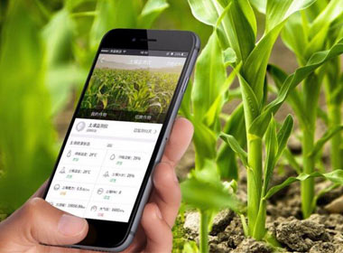 让农业搭上“互联网”快车